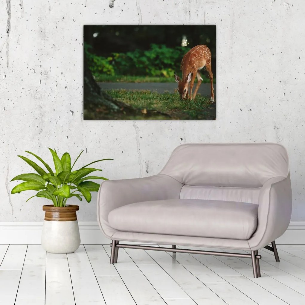 Tablou cu pui de cerb (70x50 cm)