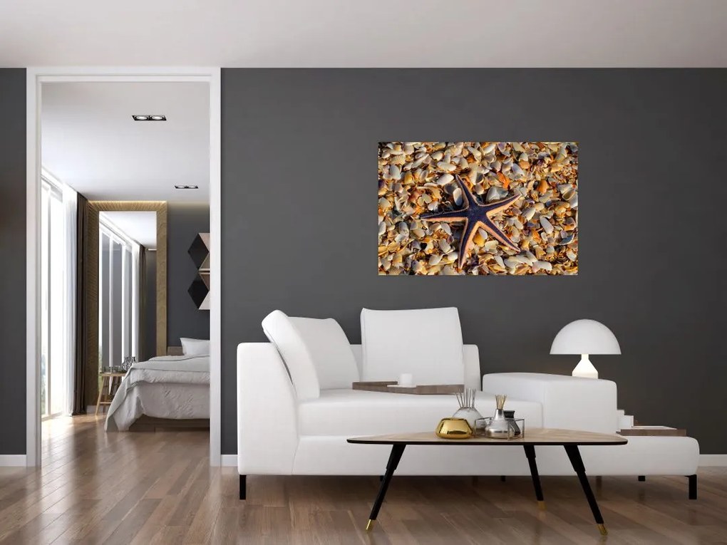 Tablou cu stea de mare (90x60 cm)