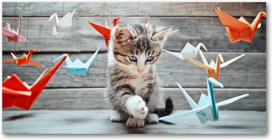 Tablou pe pe sticlă Cat cu păsări de hârtie