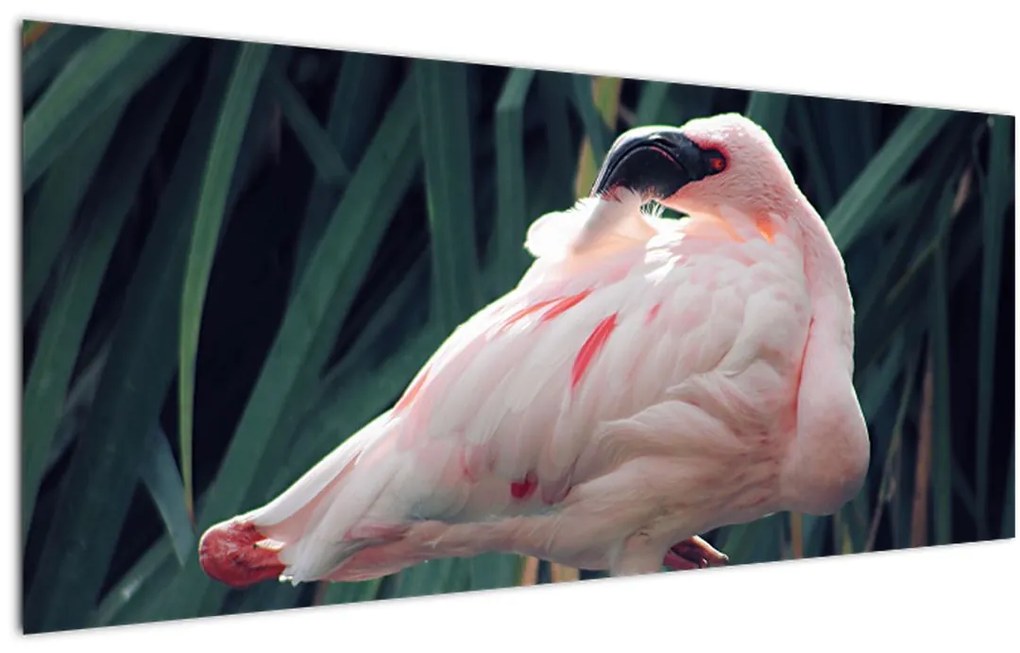 Tablou - Pasărea Flamengo (120x50 cm)