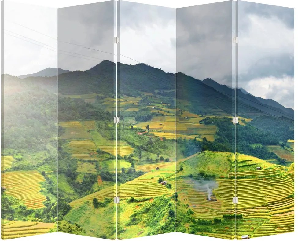 Paravan -Plantație (210x170 cm)