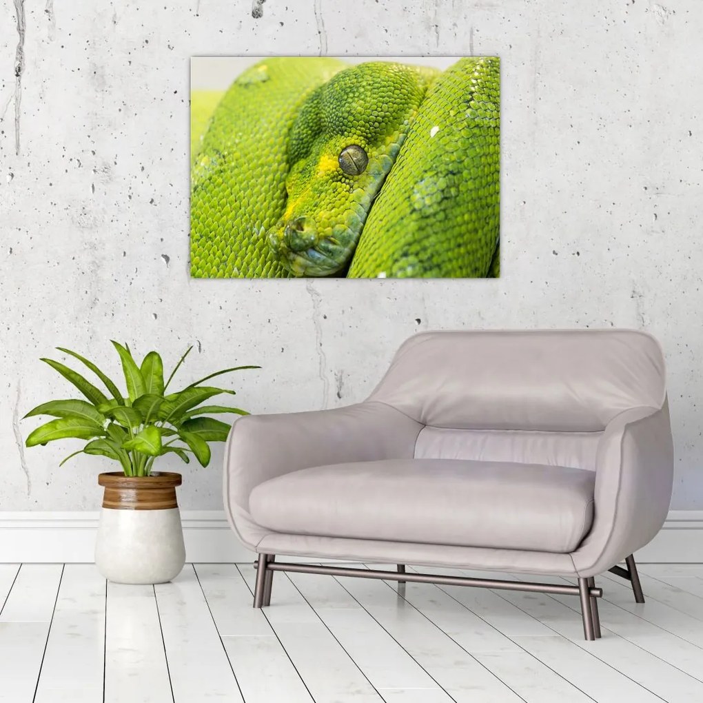 Tablou cu șarpe (70x50 cm)