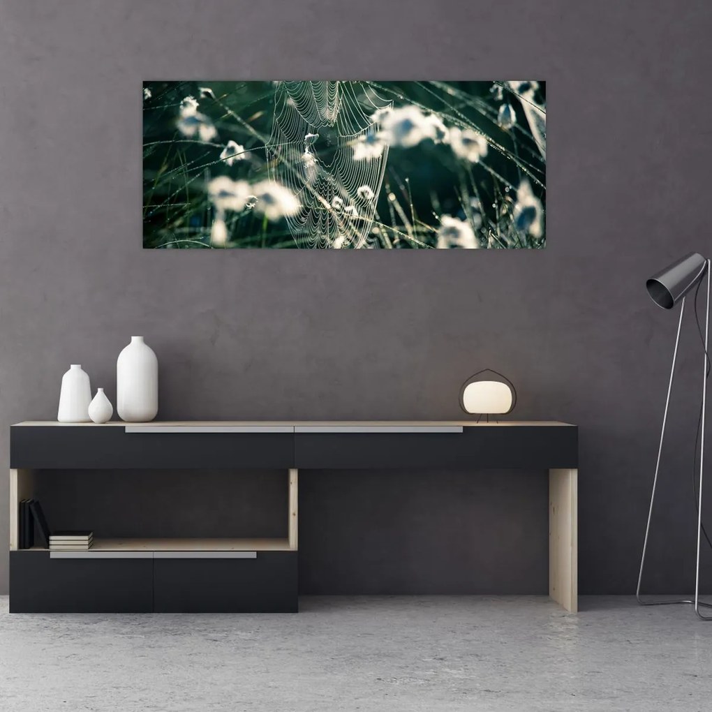 Tablou - Pânză de păianjen (120x50 cm)