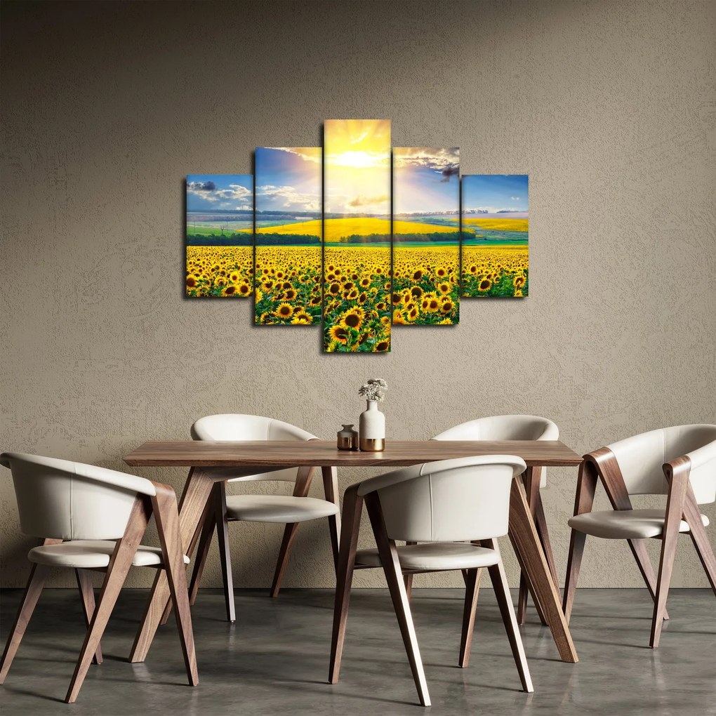 Tablou - Câmp cu floarea soarelui (150x105 cm)