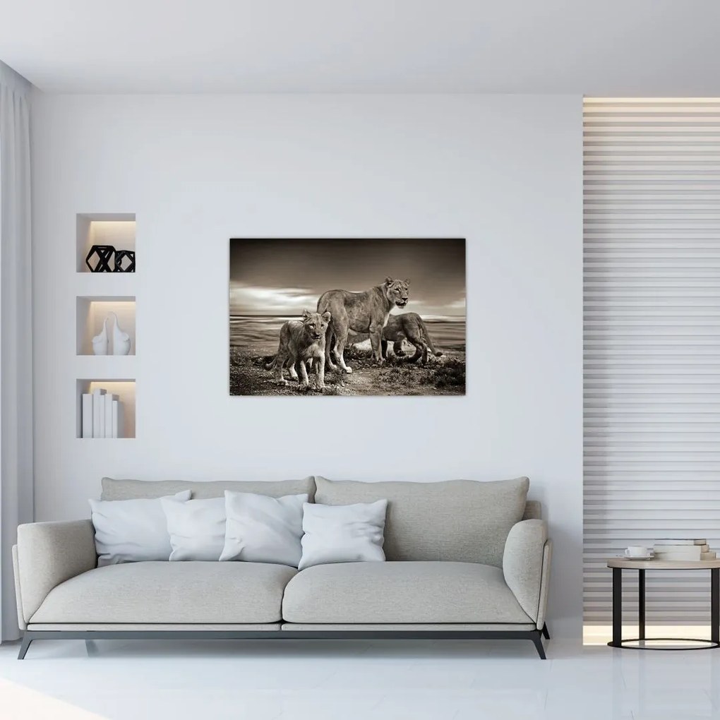 Tablou cu leii alb negri (90x60 cm)