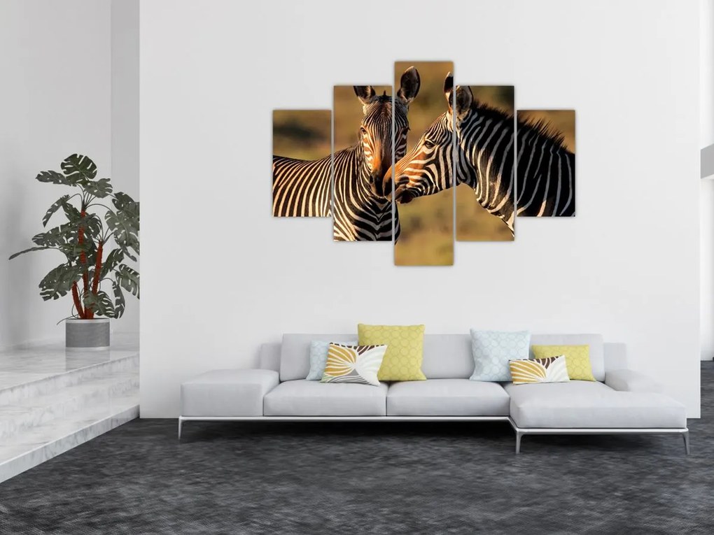 Tablou - Două zebre (150x105 cm)