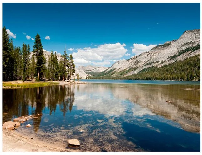 Fototapet - Tenaya Lake - Yosemite National Park