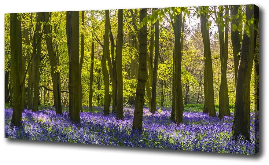 Tablouri tipărite pe pânză Primăvară pădure