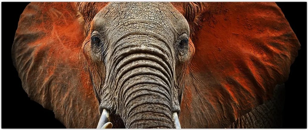 Tablou - Elefanți cu Tsavo (120x50 cm)