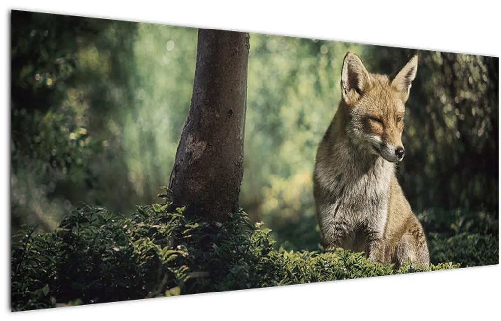 Tablou cu vulpe (120x50 cm)