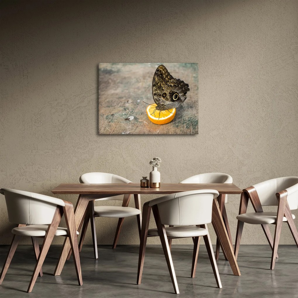 Tablou cu fluturi (70x50 cm)