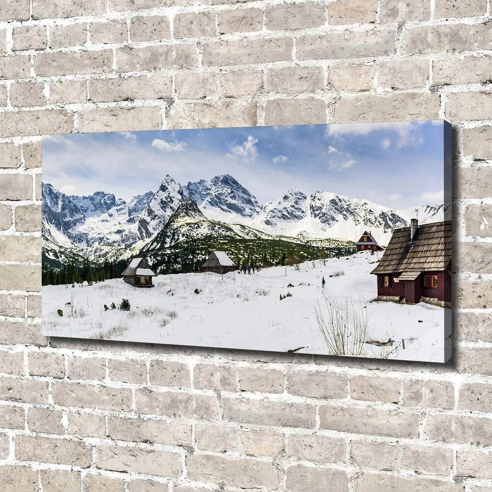 Pictură pe pânză Hale tatry