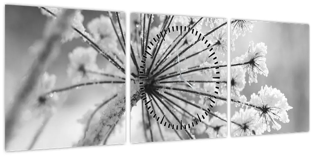 Tablou - Floare în timpul iernii (cu ceas) (90x30 cm)
