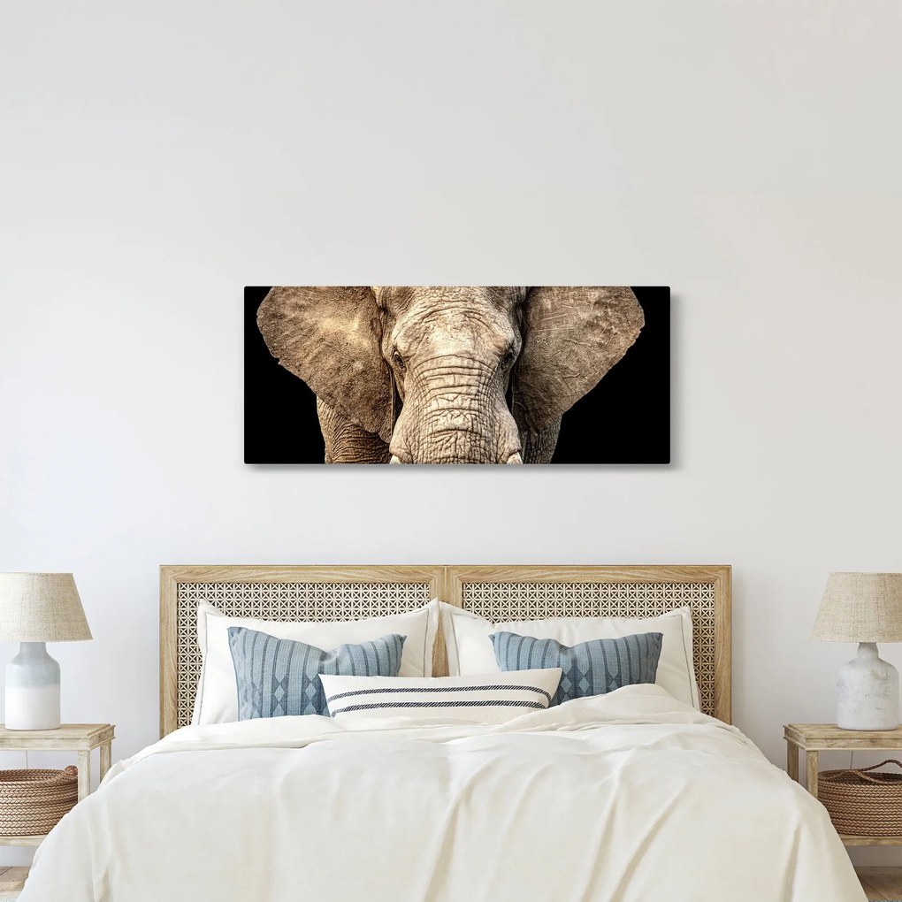 Tablou - Elefant african (120x50 cm)