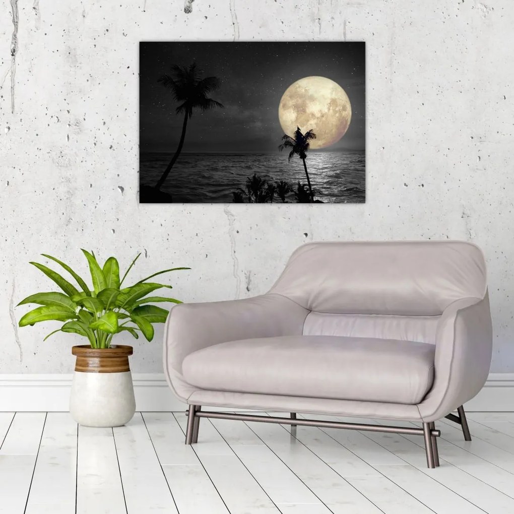 Tablou - Plaja cu lună plină, nuanțe gri (70x50 cm)