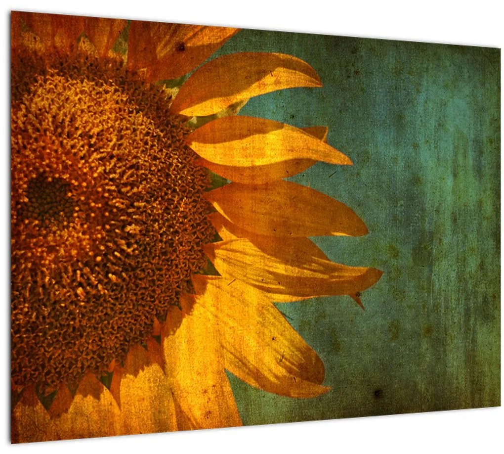 Tablou pe sticlă - Floarea soarelui (70x50 cm)