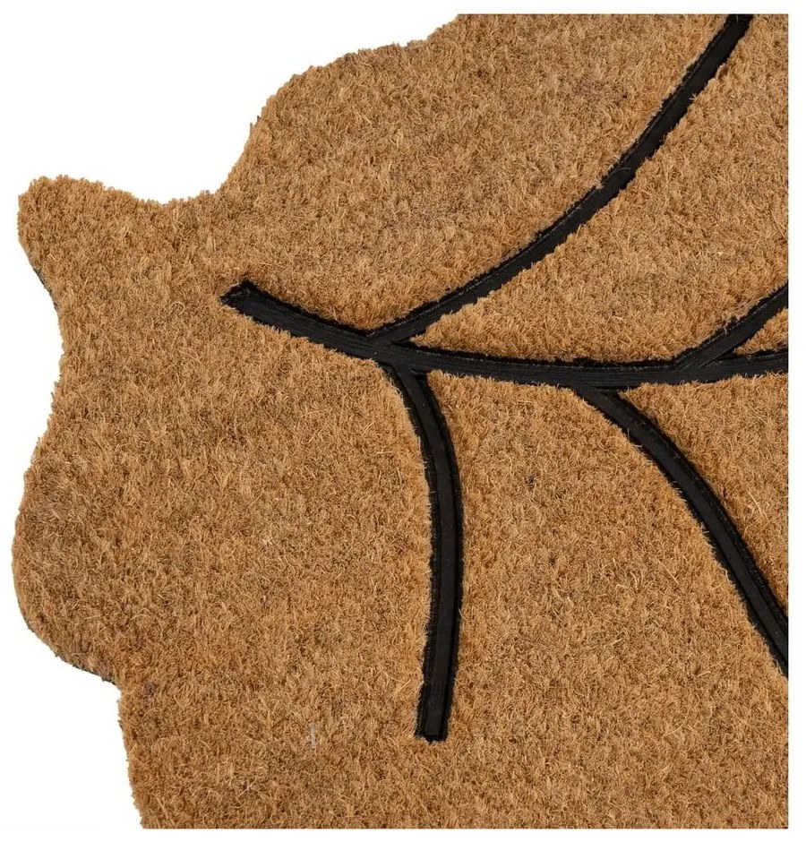Covoraș de intrare din fibre de nucă de cocos 45x75 cm Leaf – Casa Selección