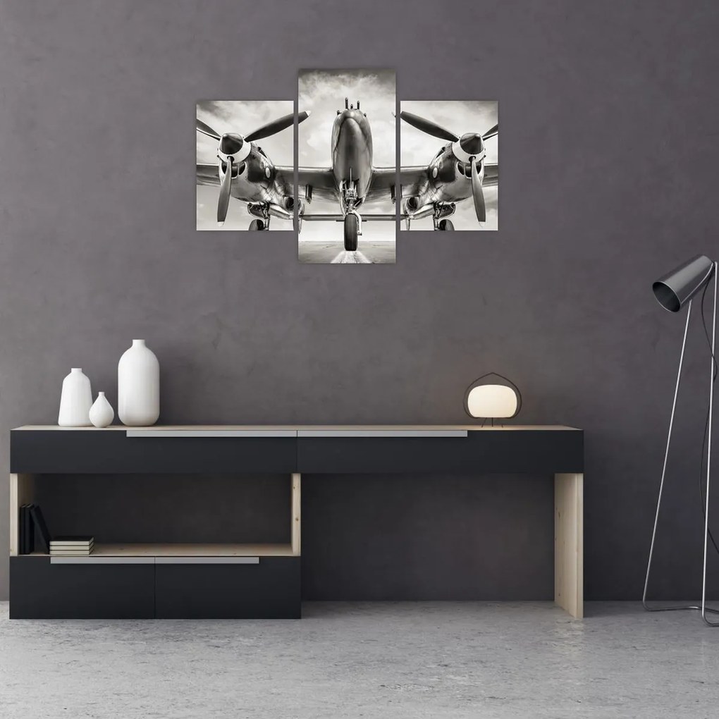 Tablou - Warbird (90x60 cm)