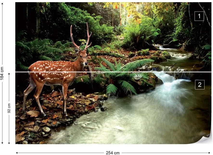 Fototapet GLIX - Deer In Forest + adeziv GRATUIT Tapet nețesute - 254x184 cm