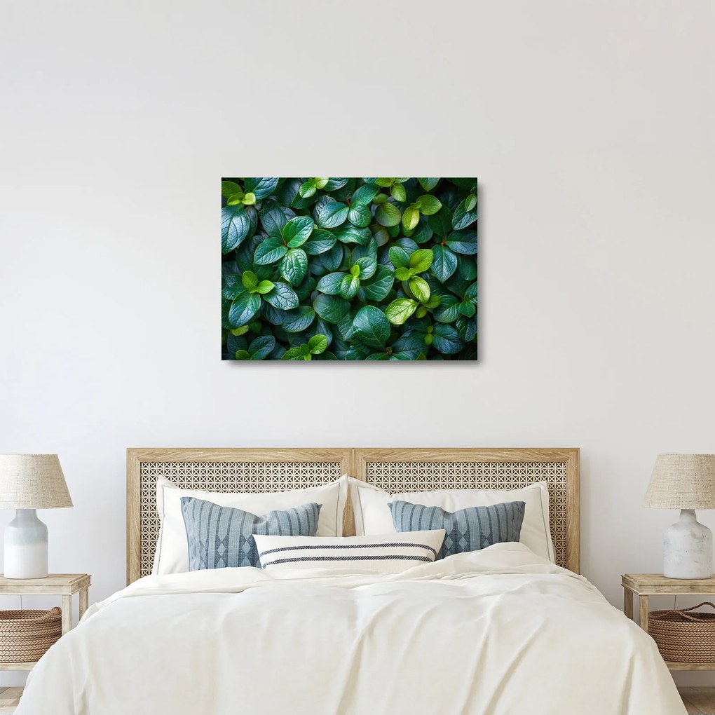 Tablou pe sticlă - Plante verzi (70x50 cm)