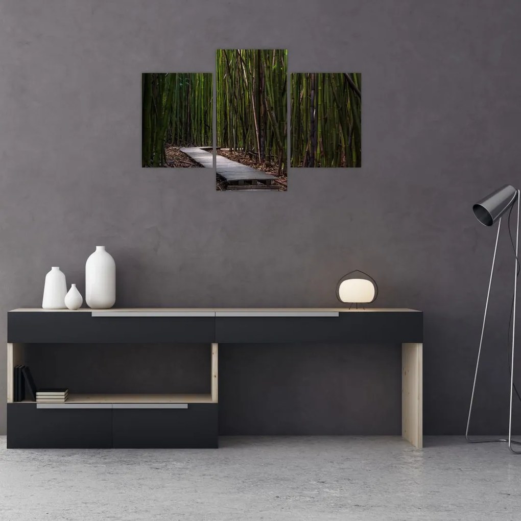 Tablou - Între bambus (90x60 cm)