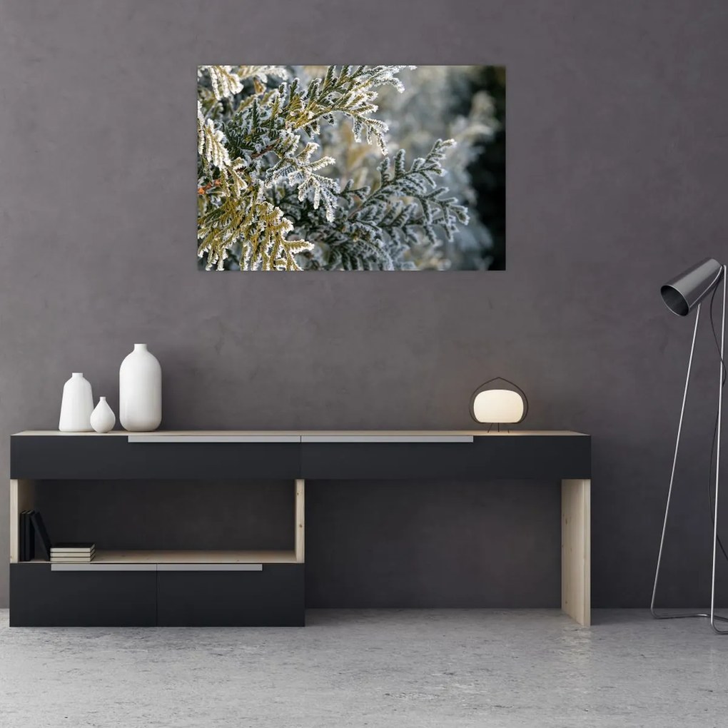 Tablou - Detaliu ramură (90x60 cm)