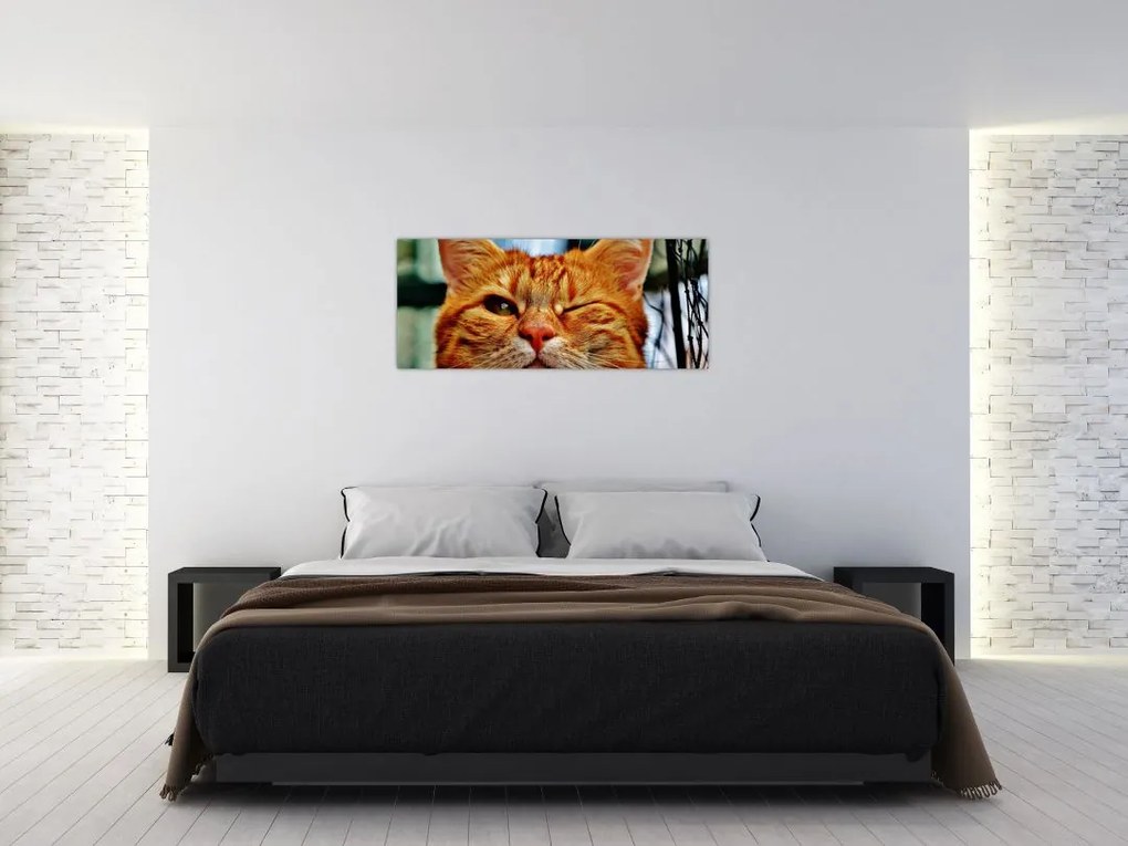 Tablou - Pisica suspicioasă (120x50 cm)