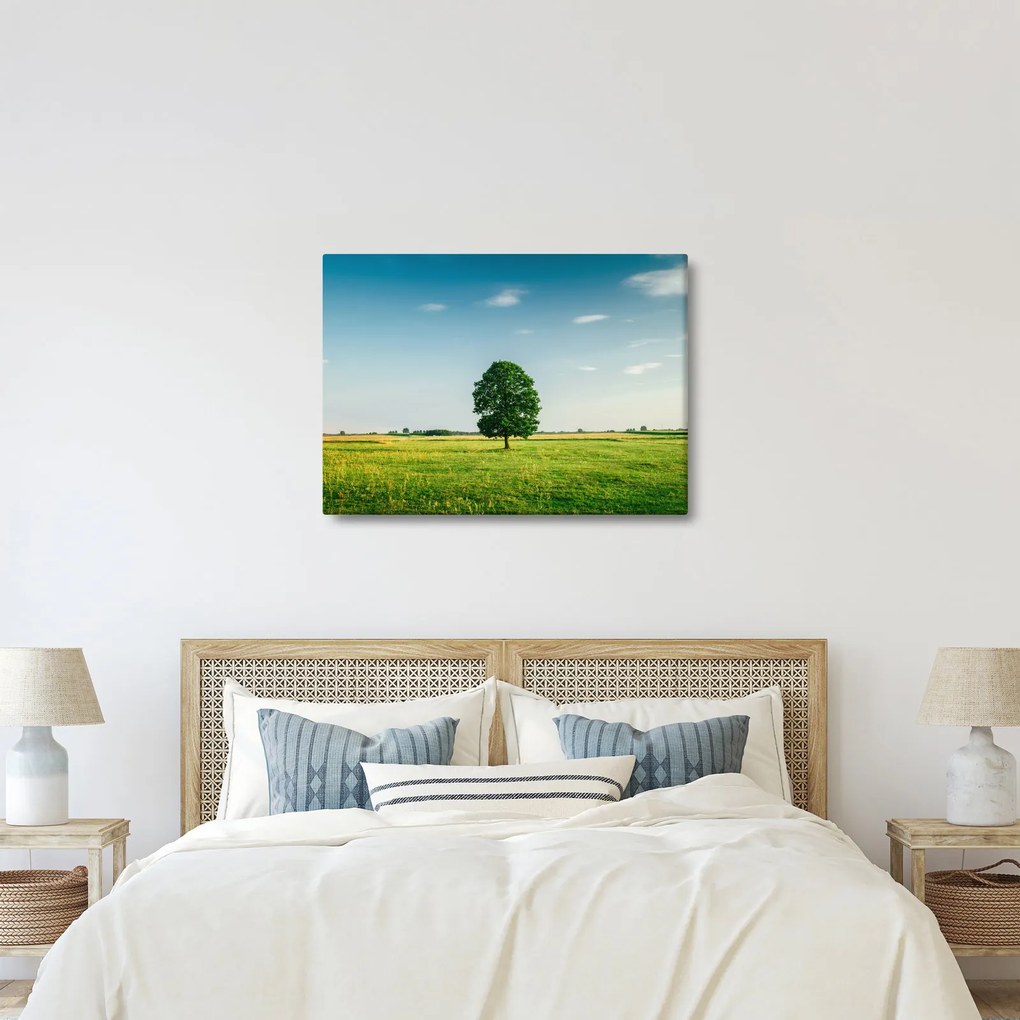 Tablou cu copaci pe luncă (70x50 cm)