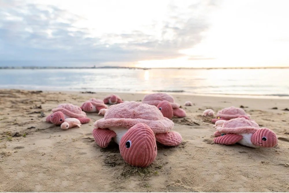 Jucării de pluș 2 buc. Ptipotos Savenou – Les Deglingos