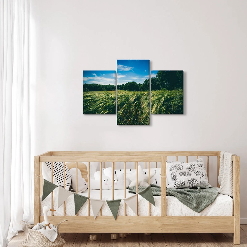 Tablou cu linca și pădure (90x60 cm)