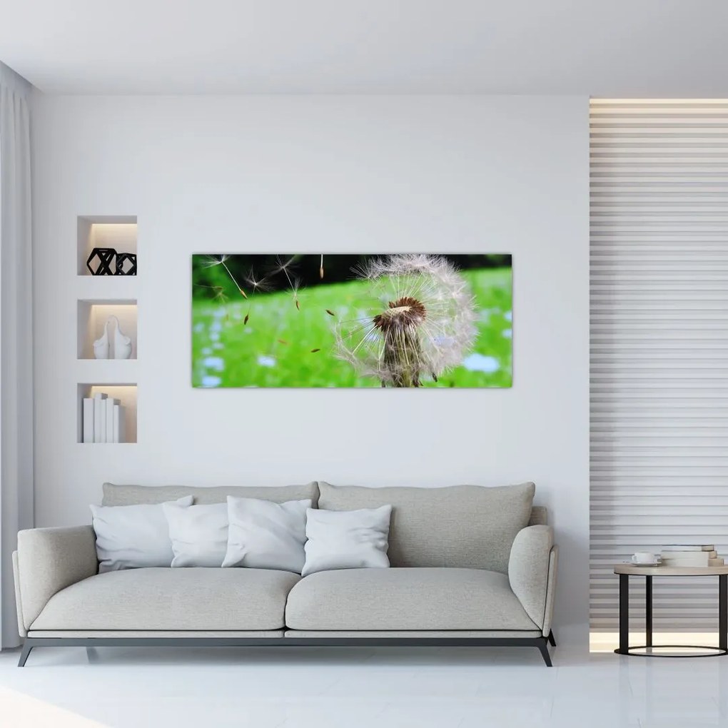 Tablou cu păpădie (120x50 cm)