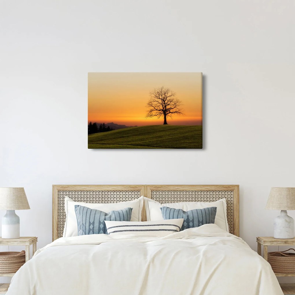 Tablou cu apus de soare pe o luncă (90x60 cm)
