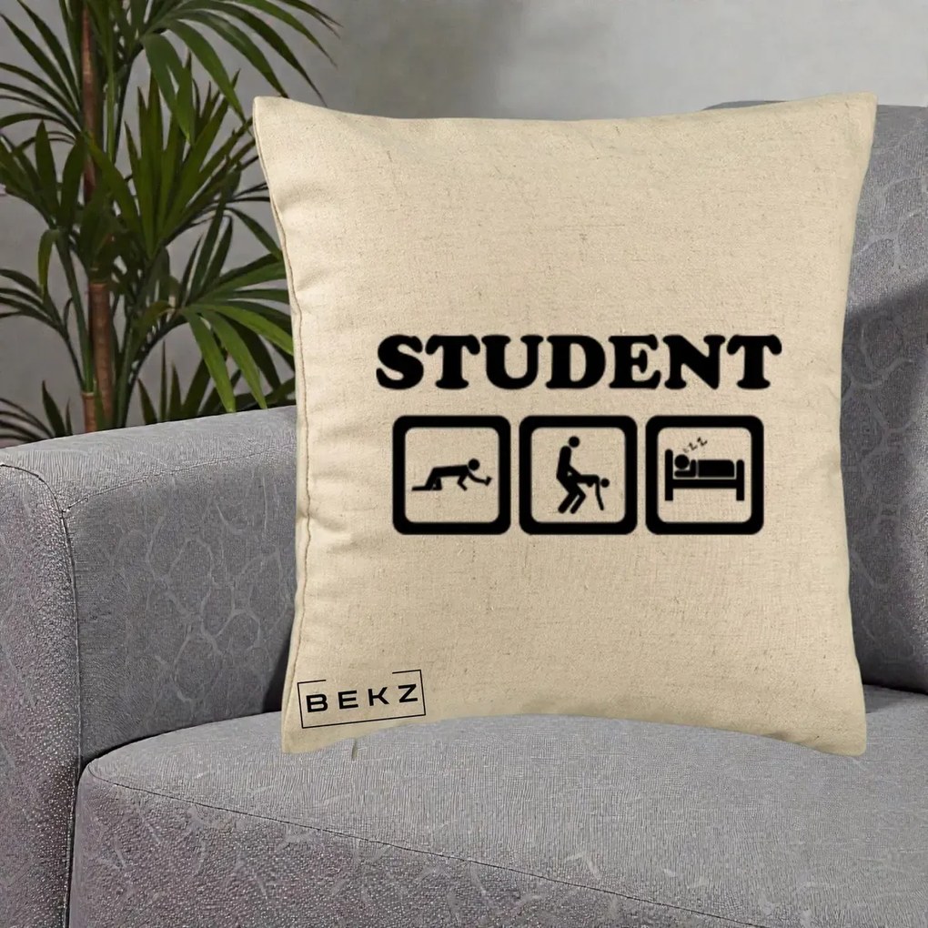 Perna Decorativa Student Life, 40x40 cm, Bej, Husa Detasabila, Perna Inclusa, BEKZ®