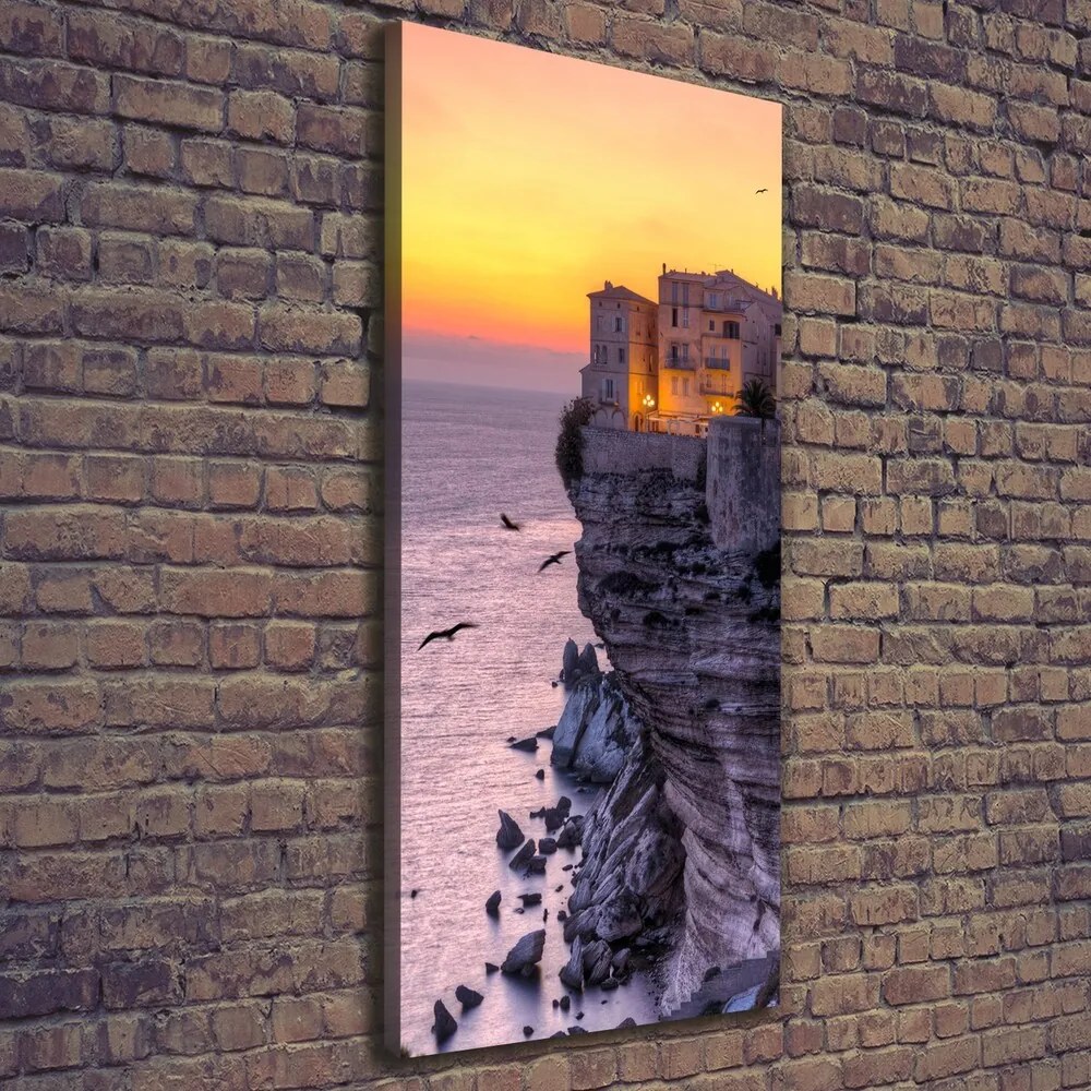 Imprimare tablou canvas Case pe stâncă