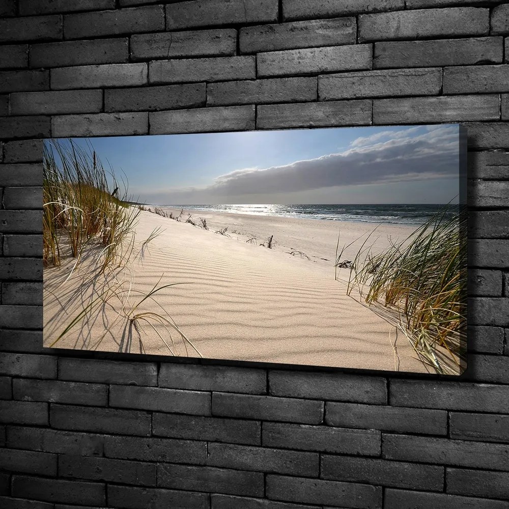 Tablou canvas Plaja mrzeżyno