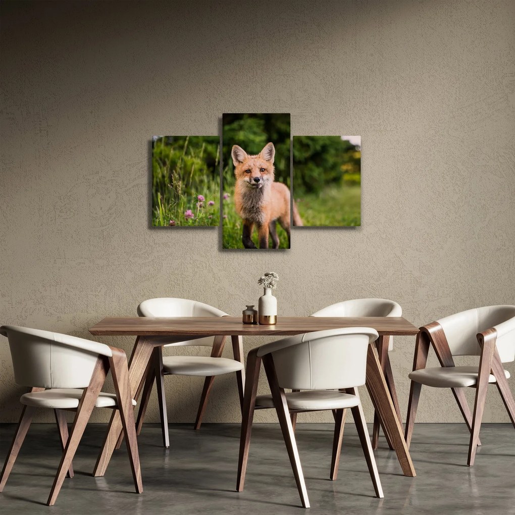 Tablou cu vulpe (90x60 cm)