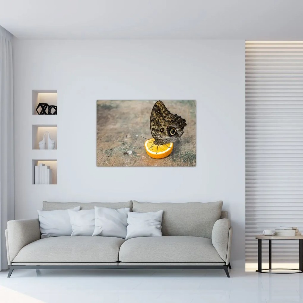 Tablou cu fluturi (90x60 cm)
