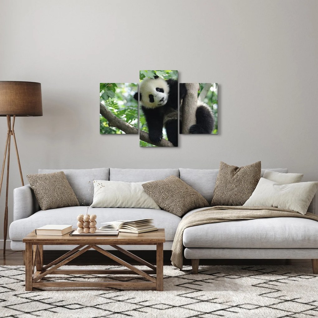 Tablou - Panda in copac (90x60 cm)