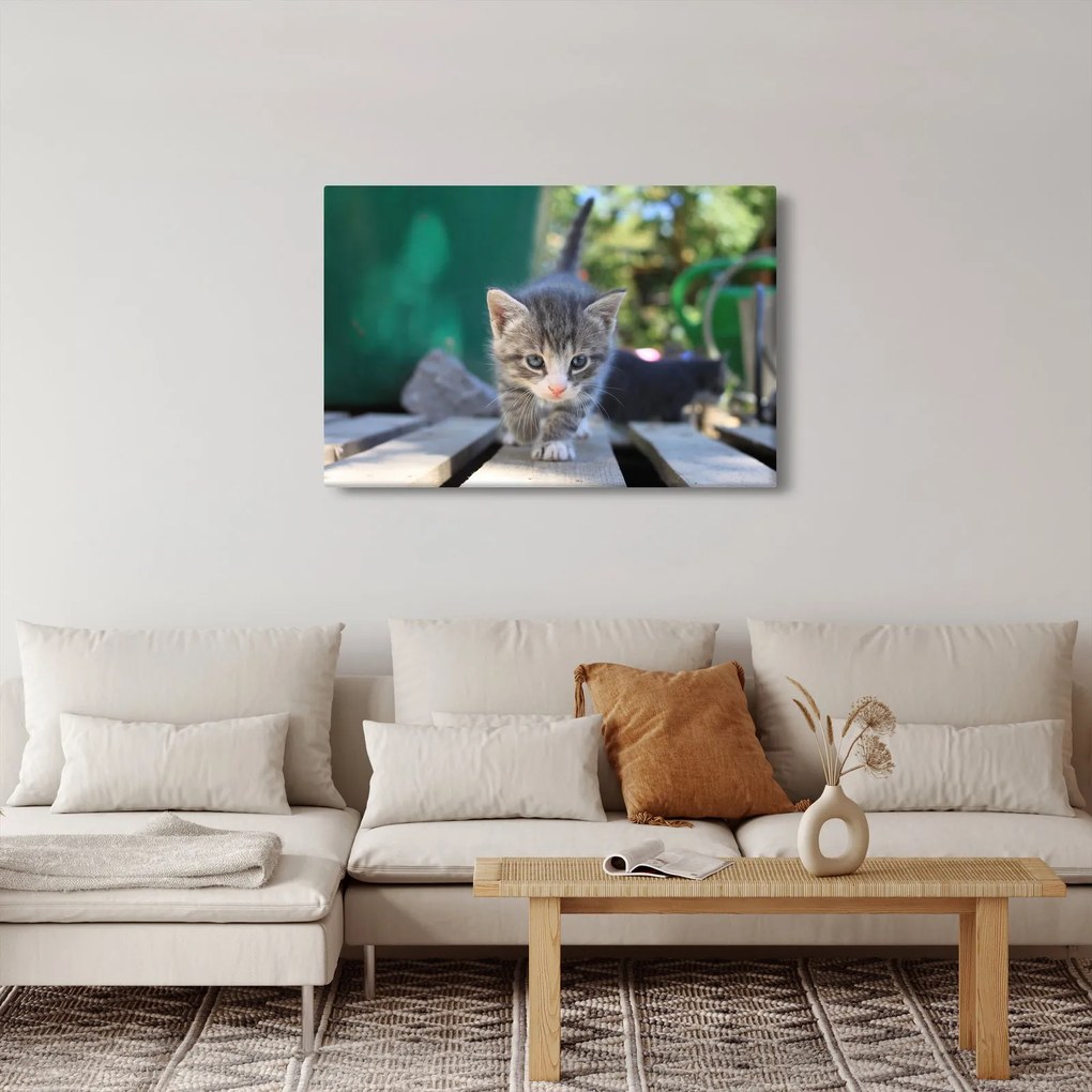 Tablou cu pisicuțe (90x60 cm)