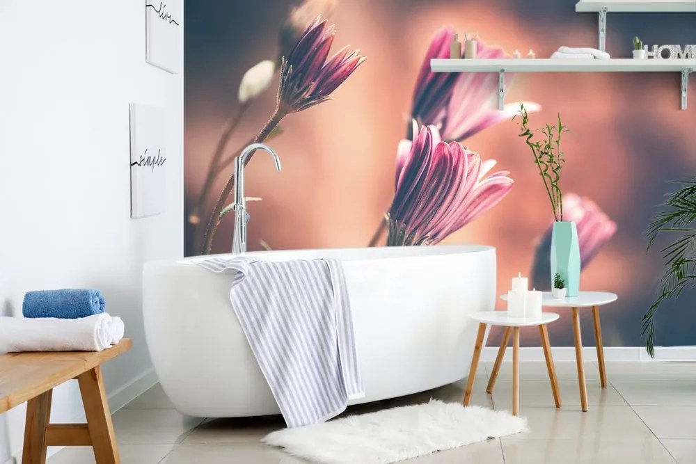 Fototapet autoadeziv flori roz delicate