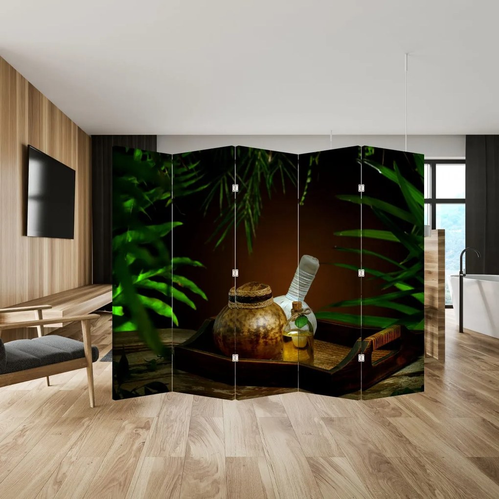 Paravan - Obiectele spa (210x170 cm)