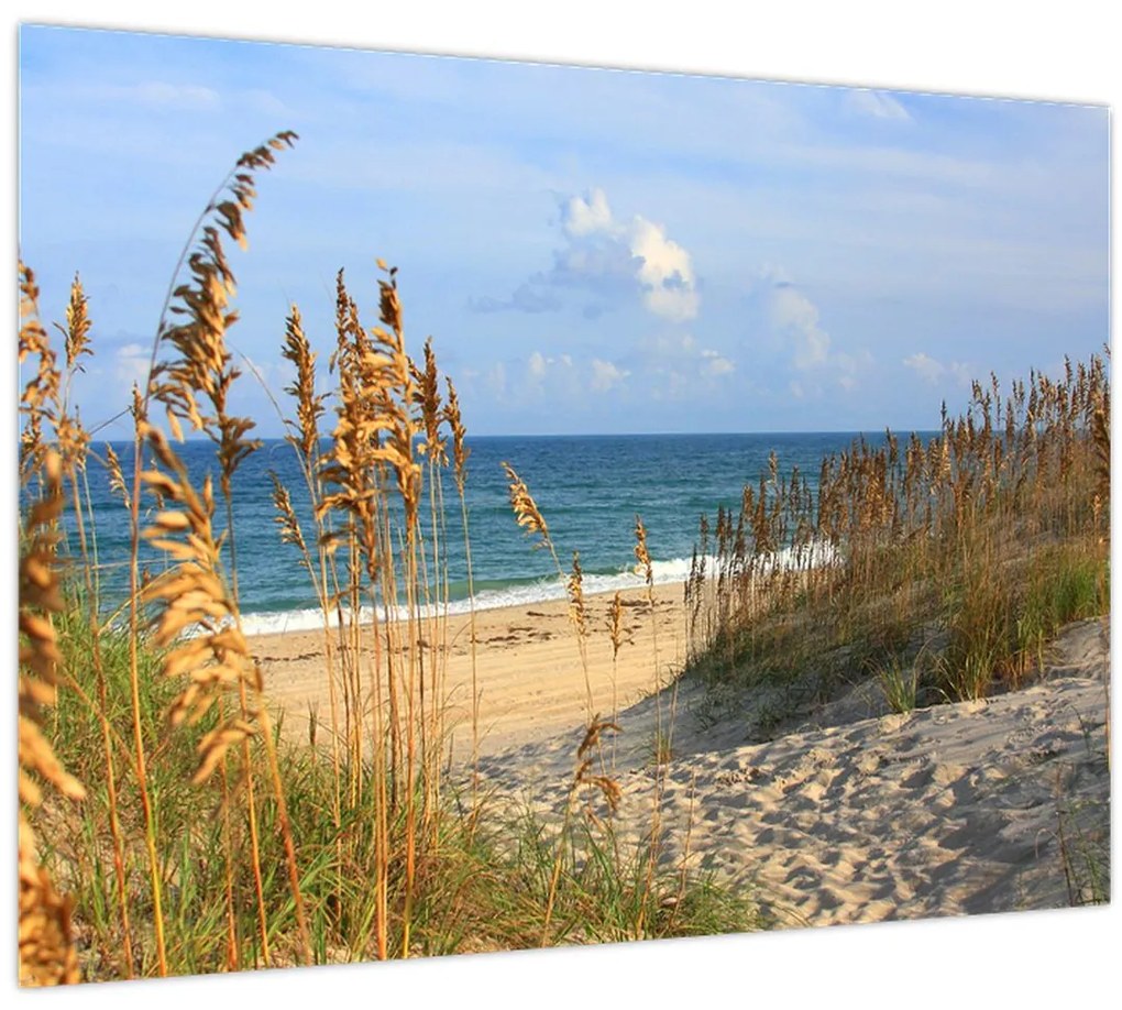 Tablou - Plajă (70x50 cm)