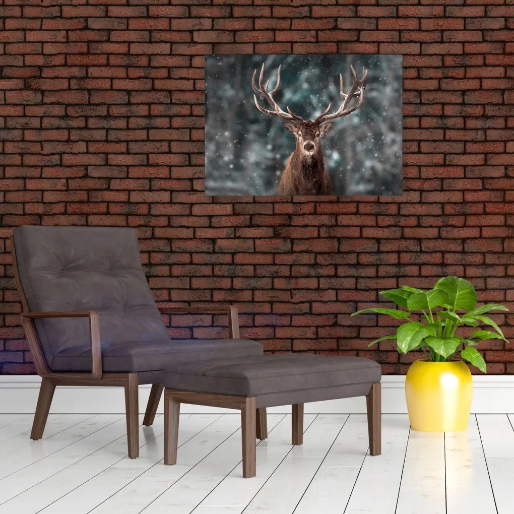 Tablou - Cerbul majestic (70x50 cm)