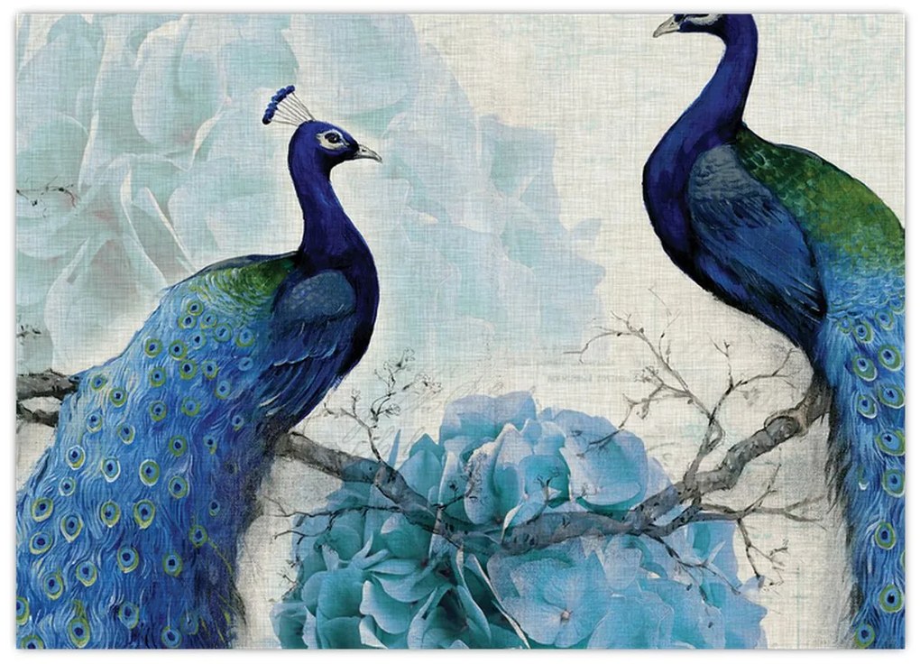 Tablou pe sticlă - Peacocks cu texturi (70x50 cm)