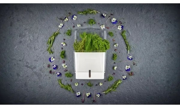 Recipient pentru ierburi proaspăt tăiate Cole&Mason