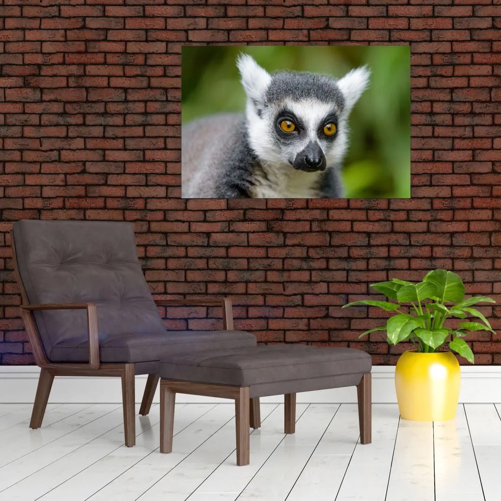 Tablou cu lemur (90x60 cm)