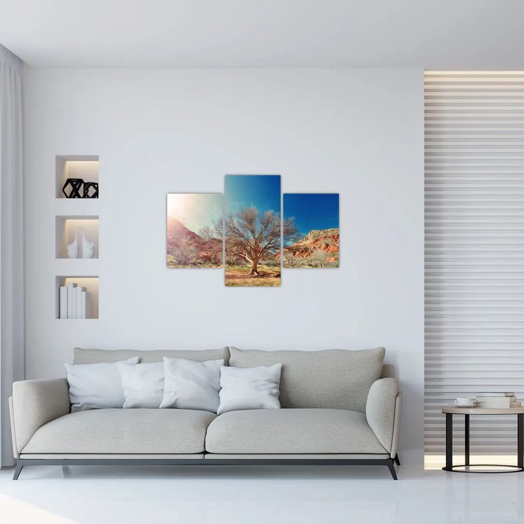 Tablou cu cu copac în deșert (90x60 cm)