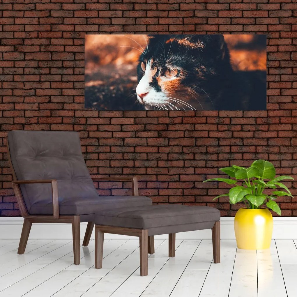 Tablou - Privirea pisicii (120x50 cm)
