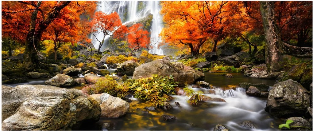 Tablou - Cascade în pădurea portocalie (120x50 cm)