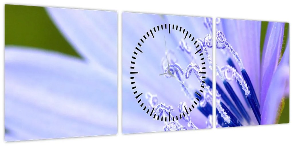 Tablou - Floare (cu ceas) (90x30 cm)